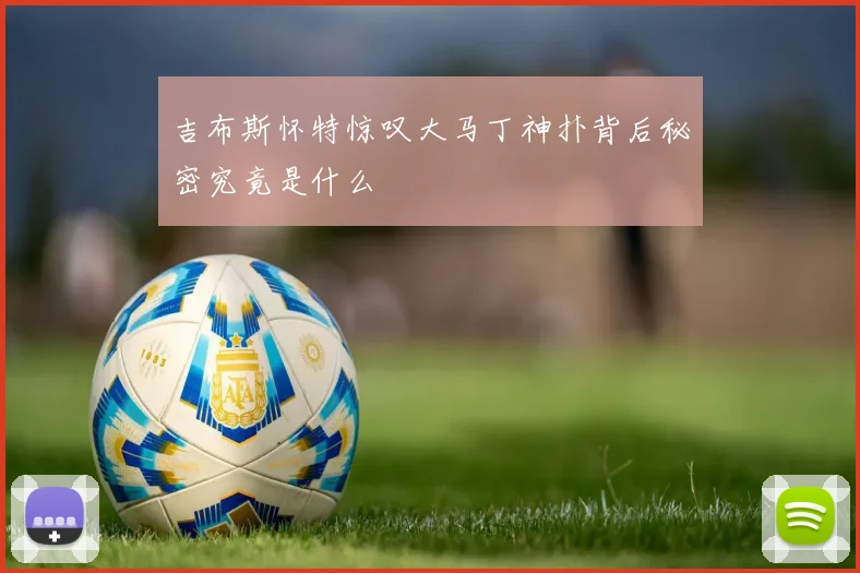 吉布斯怀特惊叹大马丁神扑背后秘密究竟是什么