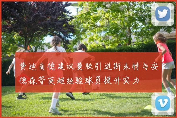 费迪南德建议曼联引进斯米特与安德森等英超经验球员提升实力