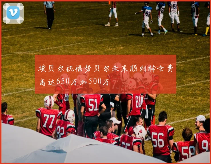 埃贝尔祝福努贝尔未来顺利转会费高达650万加500万