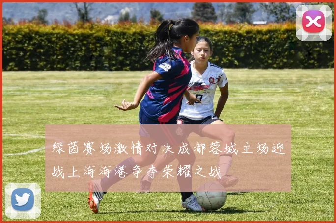 绿茵赛场激情对决成都蓉城主场迎战上海海港争夺荣耀之战
